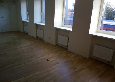 Pajūrio šaltinis. Atlikti sudėtingesni ir didesni projektai
